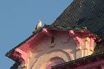 Photo albulle/datas/photos/oiseaux/02.jpg
