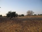 Photo albulle/datas/photos/burkina_faso/2008_laongo_koubri/IMG_0096.jpg
