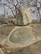Photo albulle/datas/photos/burkina_faso/2008_laongo_koubri/IMG_1188.jpg