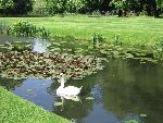 Photo albulle/datas/photos/angleterre_kent/IMG_8652.jpg
