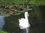 Photo albulle/datas/photos/angleterre_kent/IMG_8655.jpg