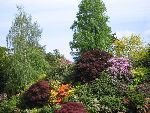 Photo albulle/datas/photos/angleterre_kent/IMG_8679.jpg
