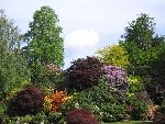 Photo albulle/datas/photos/angleterre_kent/IMG_8680.jpg
