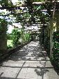 Photo albulle/datas/photos/angleterre_kent/IMG_8683.jpg