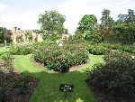 Photo albulle/datas/photos/angleterre_kent/IMG_8685.jpg