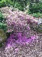 Photo albulle/datas/photos/angleterre_kent/IMG_8687.jpg