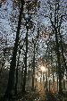 Photo albulle/datas/photos/foret/crecy2.jpg